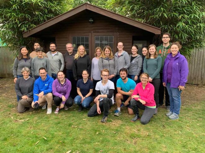 groups of volunteers in garden
