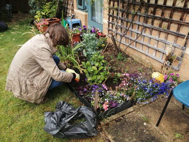 volunteers gardening